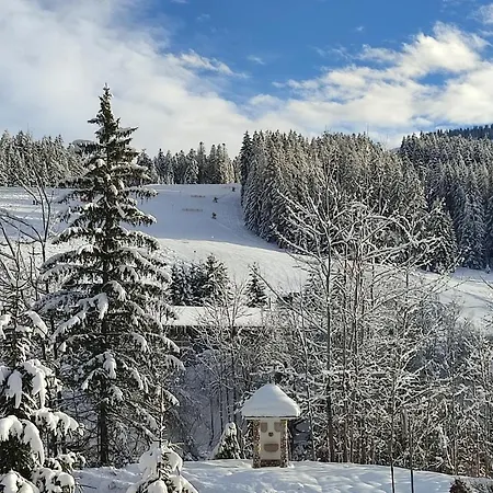 Bergfeeling Appartement