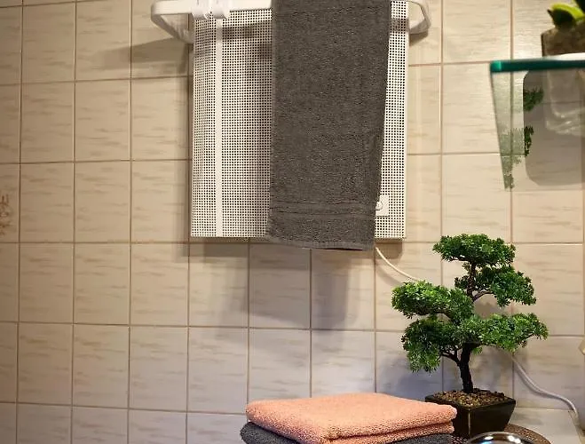 شقة Bergfeeling روسباخ أم باس غشوت