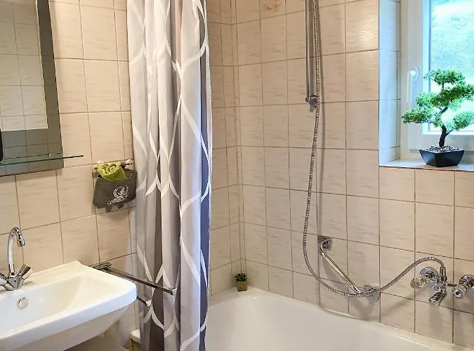 Bergfeeling روسباخ أم باس غشوت