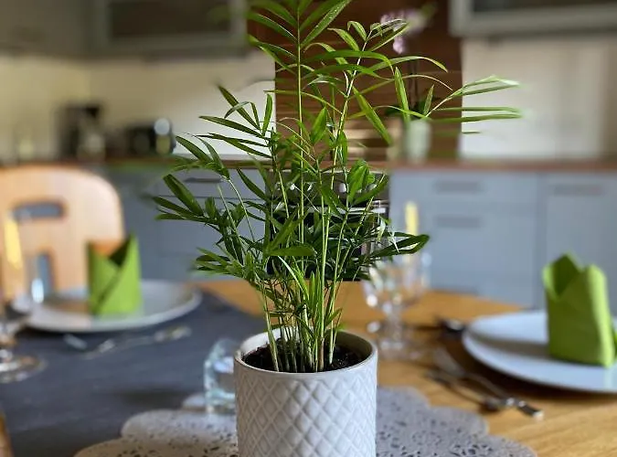 Bergfeeling روسباخ أم باس غشوت